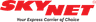 Skynet logo