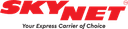Skynet logo